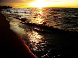images (5)